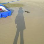 Sinuiju Sausage Stew